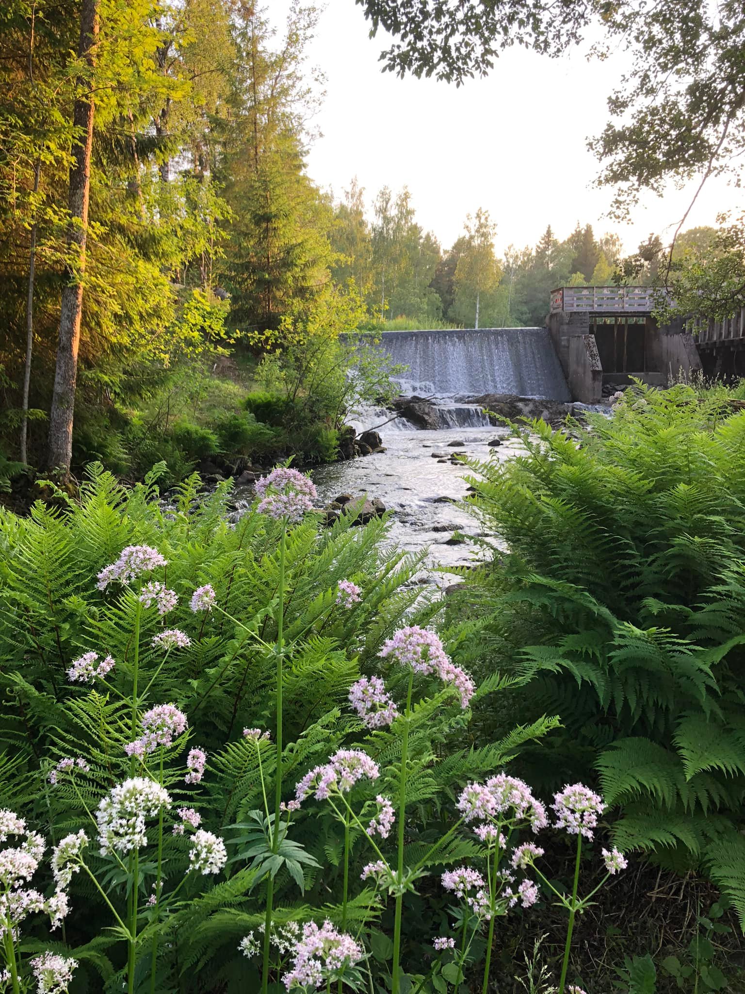 Tollebols kvarn handelsbod hantverkare
